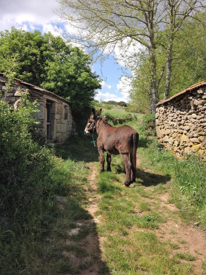 Penedones Casa Do Barrosinho 빌라 외부 사진